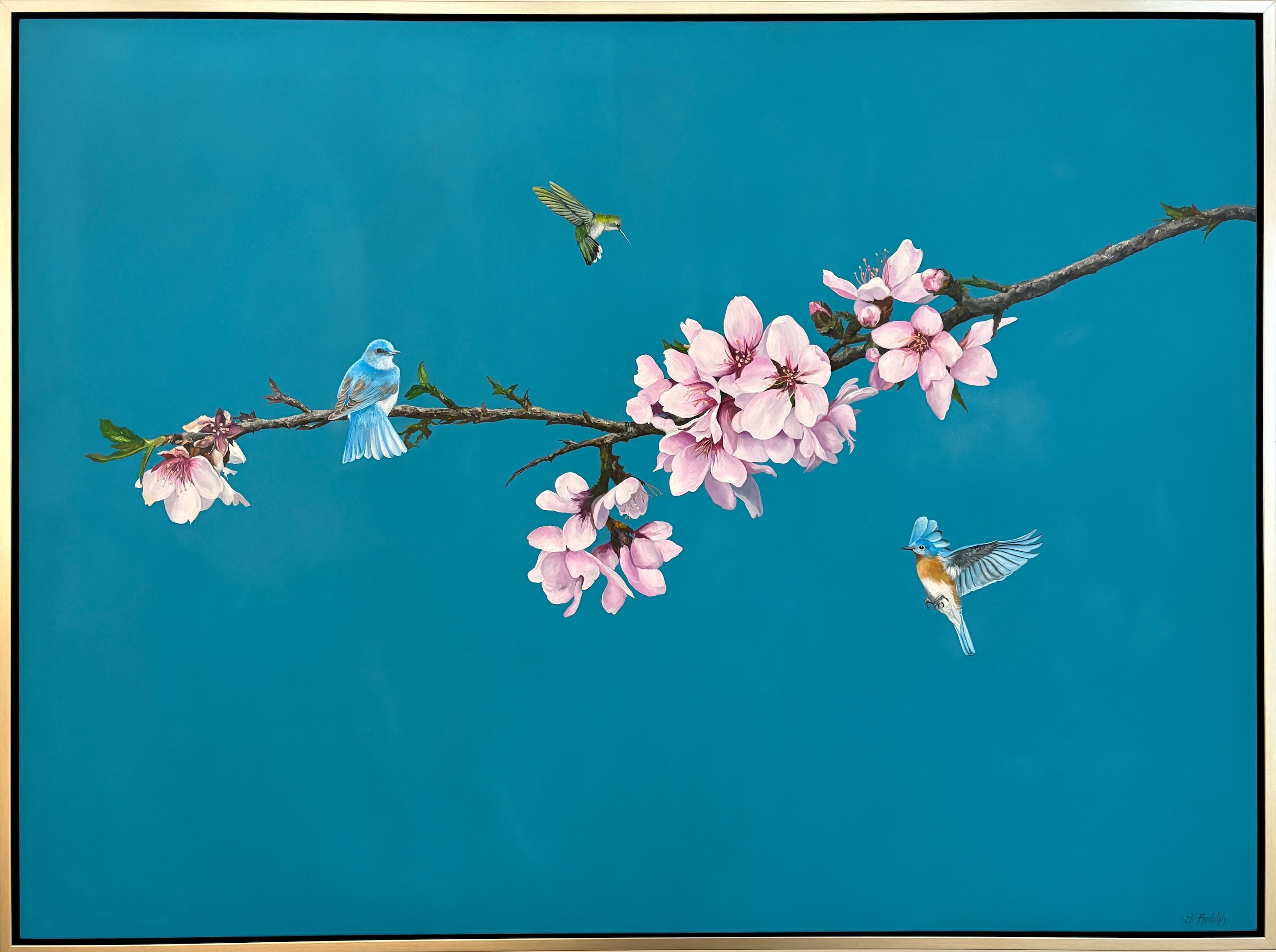 Between Blossom & Breath