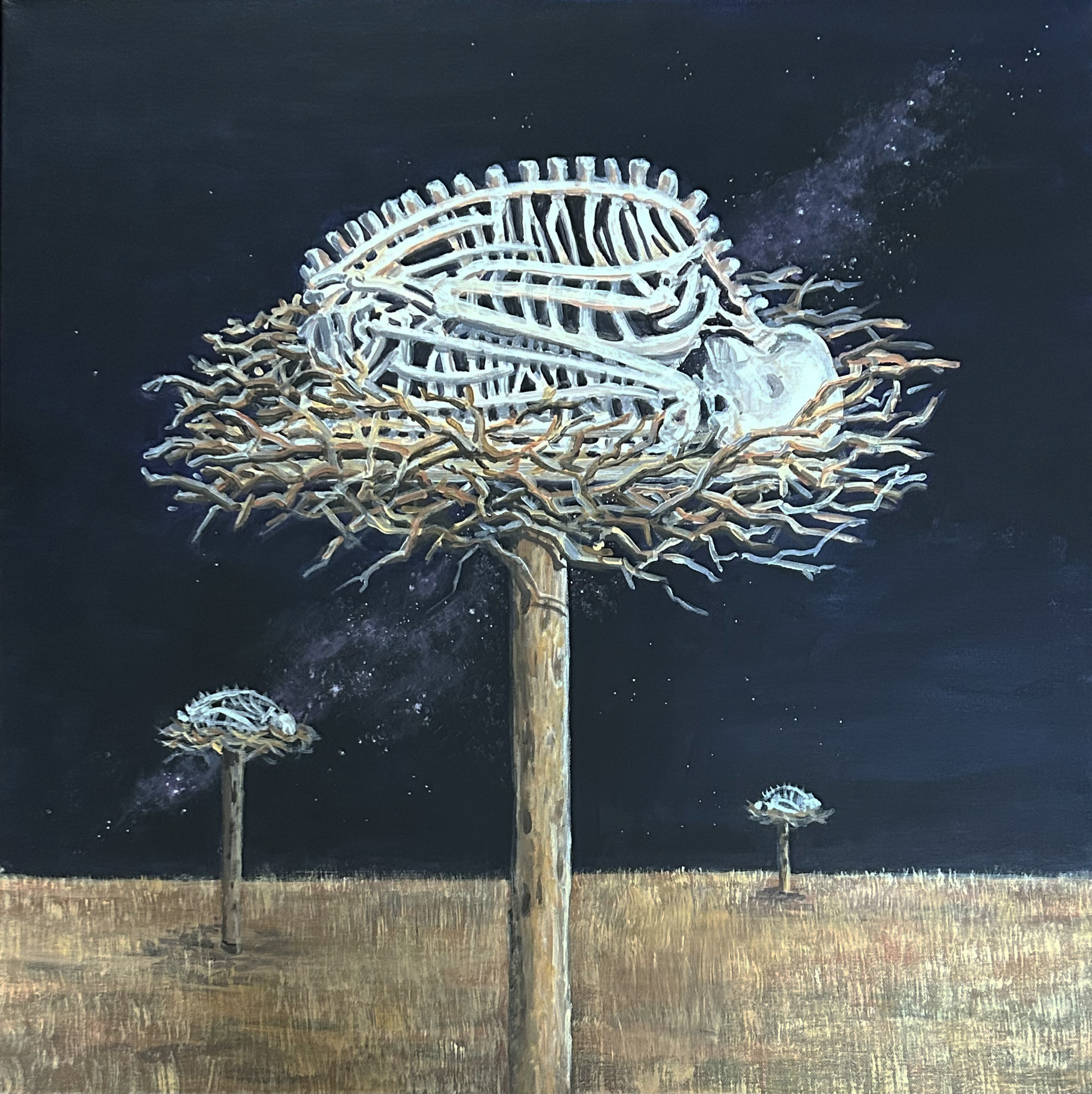 Bones-The NEst