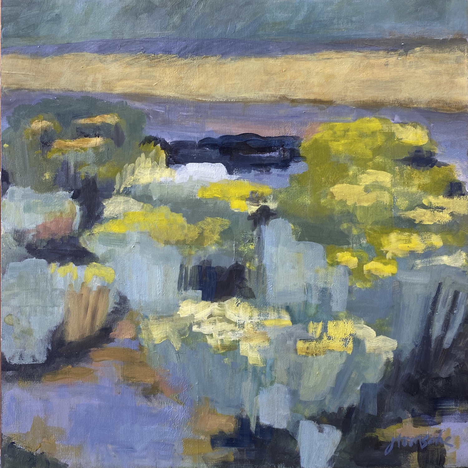 rabbitbrush road - joann Tomsche