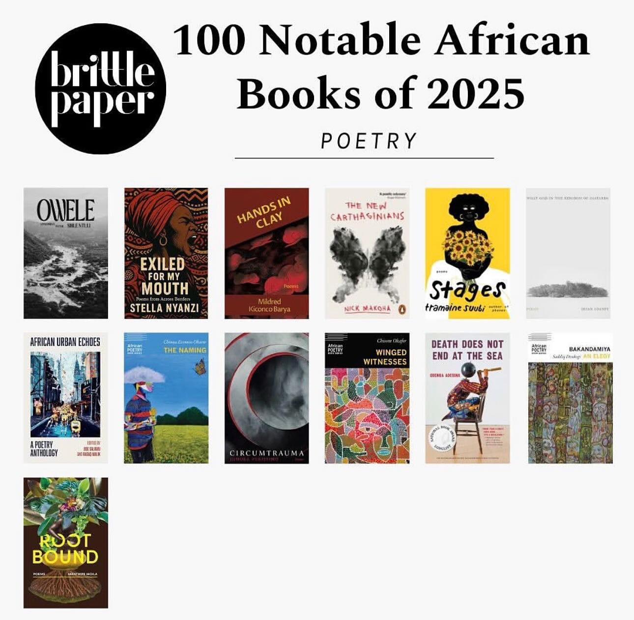https://artspan-fs.s3.amazonaws.com/member_files/pthieme/100_Notable_African_Books_of_2025.jpg