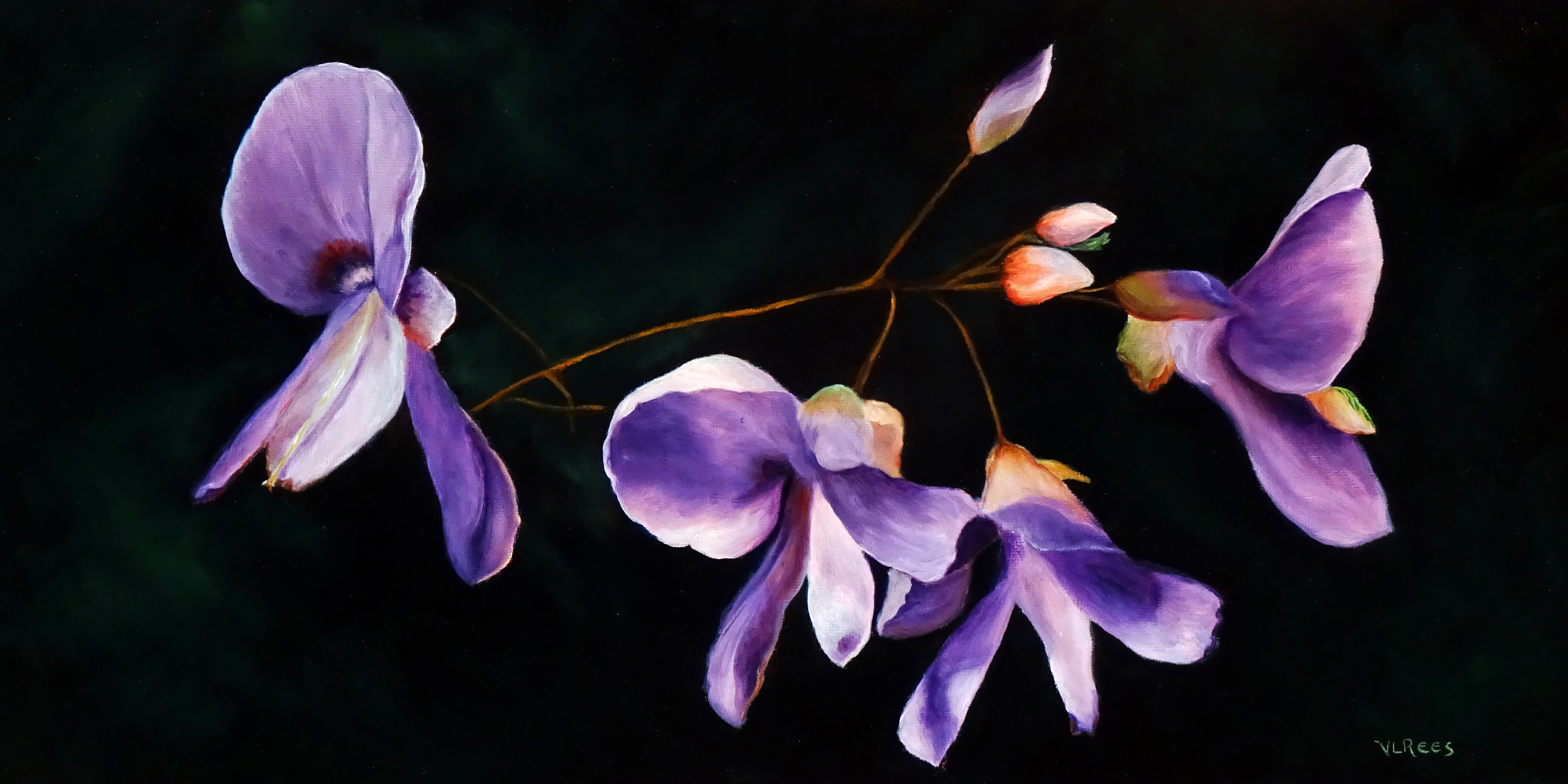 purple wildflowers